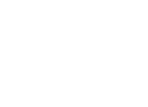 profa_service_zurich